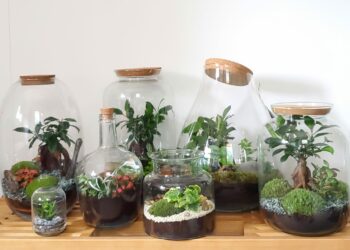 Isle-sur-la-Sorgue : la CPME 84 organise une visite de l’entreprise Naturalys