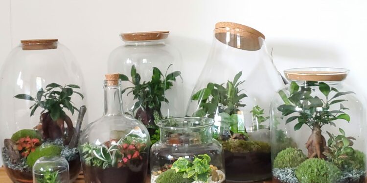 Isle-sur-la-Sorgue : la CPME 84 organise une visite de l’entreprise Naturalys