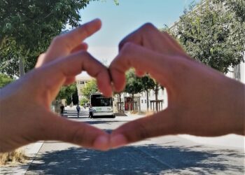 Gratuité des transports en commun  sur le Grand Avignon pour les fêtes de fin d’année