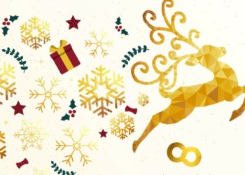 Calendrier de l’Avent, 20 professionnels se regroupent pour offrir un cadeau chaque jour