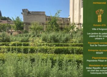 Avignon : Les jardins du Palais des papes obtiennent la victoire d’or du paysage 2022 et le Grand prix du public
