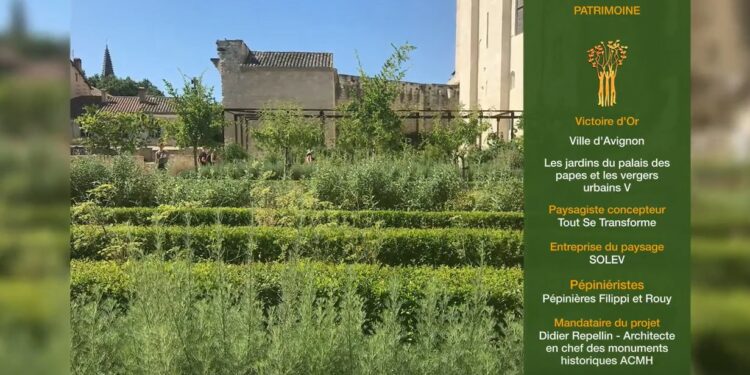 Avignon : Les jardins du Palais des papes obtiennent la victoire d’or du paysage 2022 et le Grand prix du public