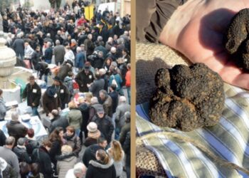 Saint-Paul-Trois-Châteaux : le marché aux truffes débute ce week-end