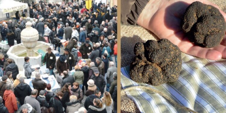 Saint-Paul-Trois-Châteaux : le marché aux truffes débute ce week-end