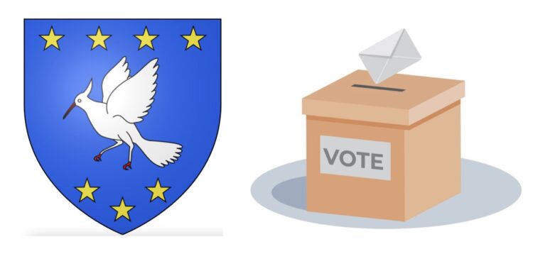 La Roque-sur-Pernes : des élections municipales complémentaires vont être organisées