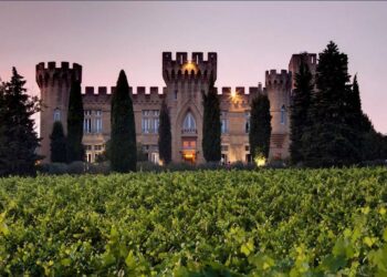 Châteauneuf-du-Pape, Denis Duchêne, patron des Fines roches, récompensé pour son courage