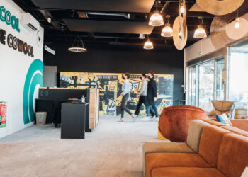 Cowool : quel est le bilan un an après ?