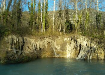 Pollution accidentelle des rives : les PNR du Mont-Ventoux, des Baronnies provençales et le syndicat mixte de l’Ouvèze provençale au chevet du Toulourenc