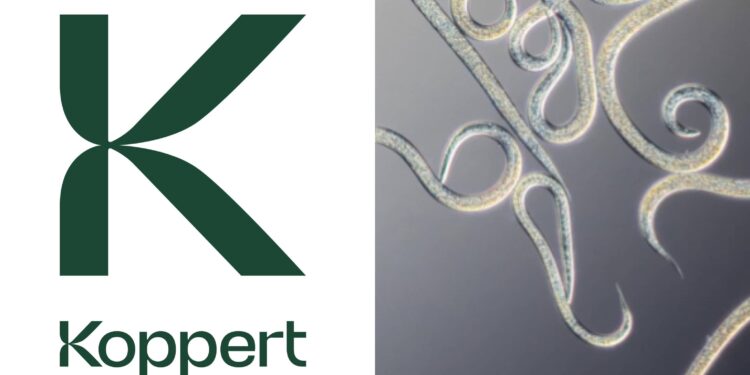 Cavaillon : Koppert crée une ligne de nématodes dédiée à l’agriculture de plein champ