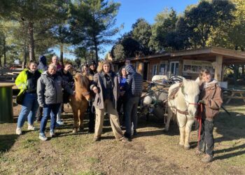 Opération de nettoyage de la nature avec des chevaux pour des jeunes sous main de justice
