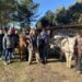 Opération de nettoyage de la nature avec des chevaux pour des jeunes sous main de justice