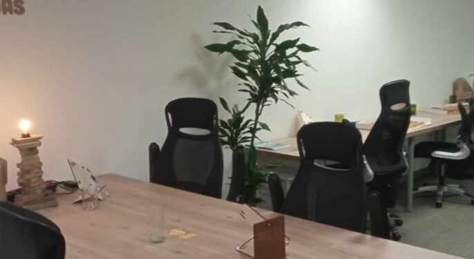 La Provence Numérique s’installe à Monteux