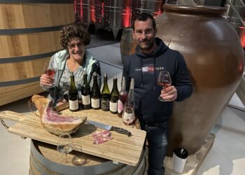 Biodynamic Wine, un vignoble familial pas comme les autres