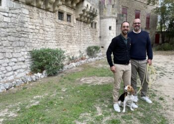 Saint-Didier, Quand le Château de Thézan du XVIe siècle renaît à la vie