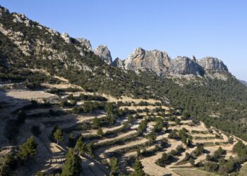 Marché aux vins de Noël sur la Place du Marché à Beaumes de Venise