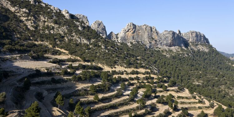 Marché aux vins de Noël sur la Place du Marché à Beaumes de Venise