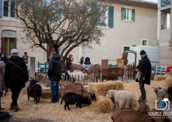 Monteux : l’inauguration du marché de Noël aura lieu ce vendredi