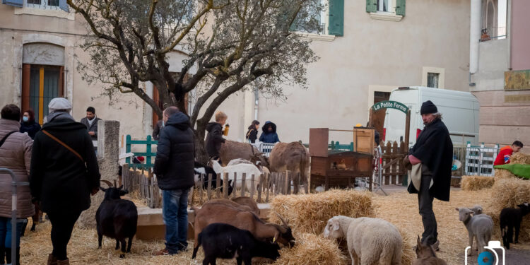 Monteux : l’inauguration du marché de Noël aura lieu ce vendredi