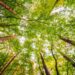 Vedène : une conférence sur les menaces qui pèsent sur la biodiversité