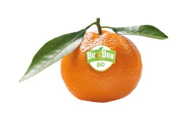 Châteaurenard : certification Ecocert pour la nouvelle gamme de Peruzzo