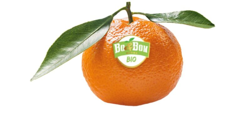 Châteaurenard : certification Ecocert pour la nouvelle gamme de Peruzzo