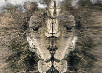 Vedène : une exposition où l’eau se fait miroir