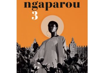 Apt : Ngaparou 3, la nouvelle exposition de la fondation Blachère