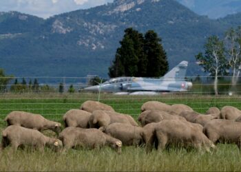 Grâce à la BA 115, le Pays d’Orange survole l’économie du haut Vaucluse