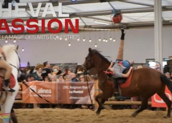 (Vidéo) : retour en images sur Cheval passion 2023