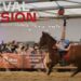 (Vidéo) : retour en images sur Cheval passion 2023