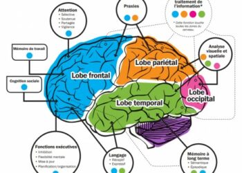Sainte Catherine, Rencontre avec les aidants des patients atteints de tumeur cérébrale