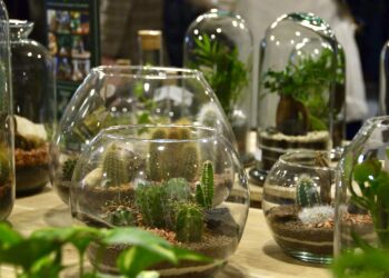 Naturalys apporte un peu de nature à vos intérieurs