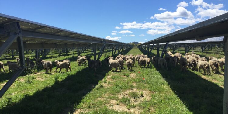 Les territoires contre-attaquent !