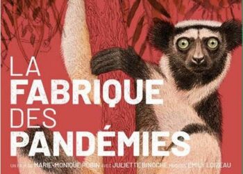 Apt : ciné-débat sur le thème des pandémies au cinéma Le César