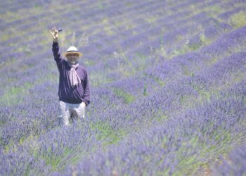 Clap de fin pour la Maison Prévôt
