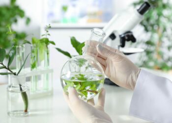 Université d’Avignon : labellisation Unesco pour la chimie verte et durable du végétal