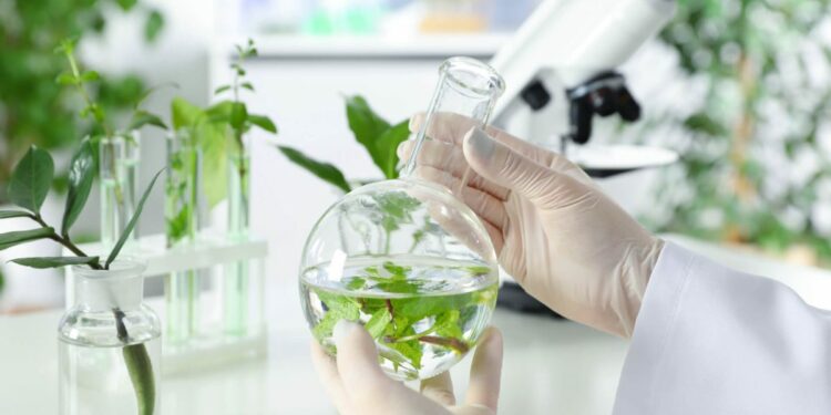 Université d’Avignon : labellisation Unesco pour la chimie verte et durable du végétal