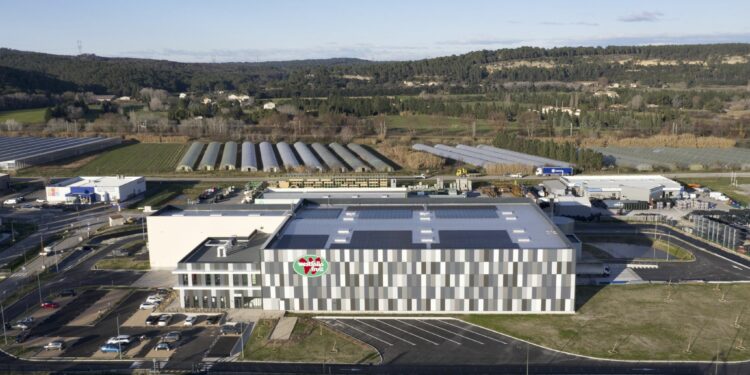 Westfalia vient d’inaugurer sa nouvelle mûrisserie de fruits exotiques à Graveson