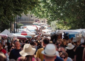 Le marché de Vaison-la-Romaine est-il le plus beau marché de France ?