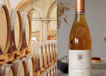 Beaumes-de-Venise : le Rhum et le Muscat n’auront plus de secret pour vous