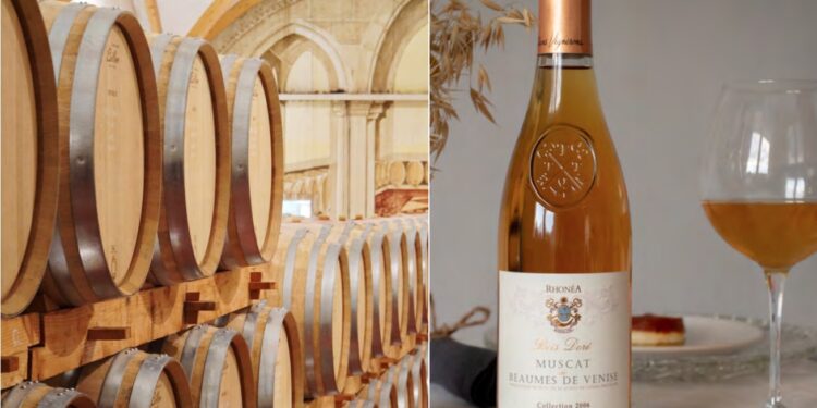Beaumes-de-Venise : le Rhum et le Muscat n’auront plus de secret pour vous