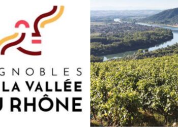 La Vallée du Rhône veut mettre le Blanc et le Rosé en avant en 2023