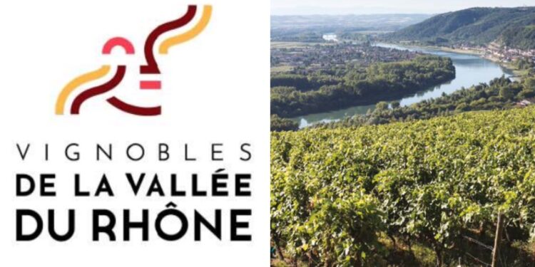 La Vallée du Rhône veut mettre le Blanc et le Rosé en avant en 2023