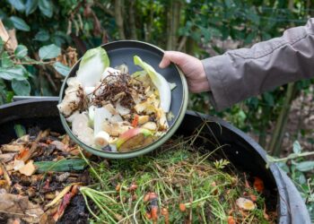 Ce qui attend les Vauclusiens à partir de 2024 avec la loi sur le compostage obligatoire