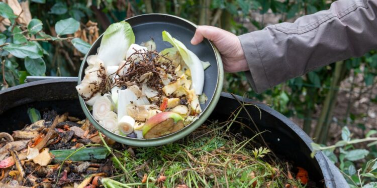 Ce qui attend les Vauclusiens à partir de 2024 avec la loi sur le compostage obligatoire