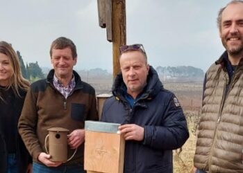 Cairanne : les mésanges et chauves-souris deviennent auxiliaires des vignerons