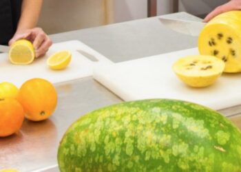 Projet alimentaire territorial du Ventoux : conserver les aliments frais sans transformation