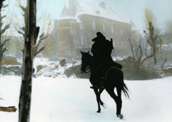 Librairie le Bleuet à Banon, découvrez ‘Un roi sans divertissement’