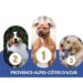 Quels sont les chiens préférés des Provençaux ?