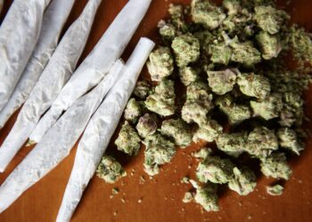 Lutte contre le trafic de stupéfiants : la mobilisation continue à Carpentras et Avignon